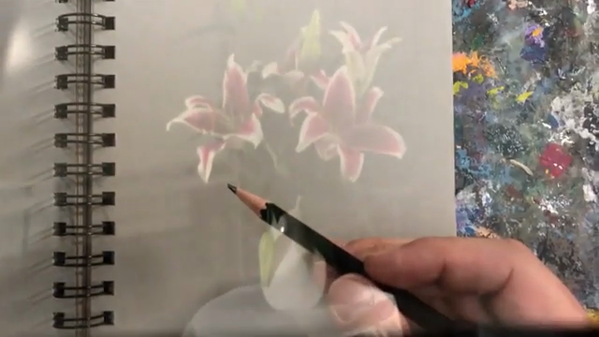 Amazon.com: NeoLucida XL: a See-Through Camera Lucida Drawing Tool